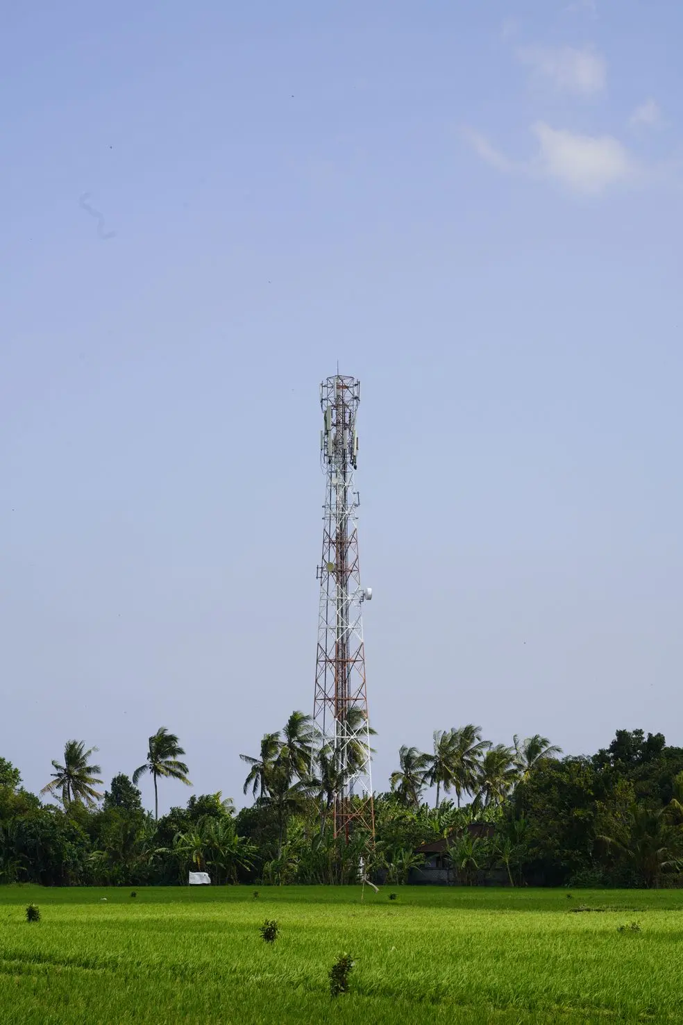 PT Tower Bersama Infrastructure Tbk (“TBIG”) Announces Its First Half 2024 Financial Performance